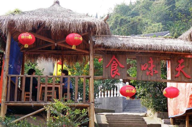 生态盛宴:有机蔬菜采摘季